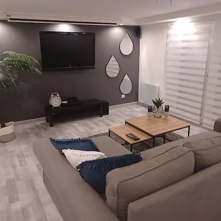 Très Bel Type Loft De 40 M2 Dans Maison Avec Parking Privatif * Lingolsheim