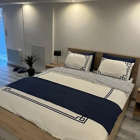 Lägenhet Tres Bel Appartement Type Loft De 40 M2, Classe 3 Etoiles Dans Maison Avec Parking Privatif