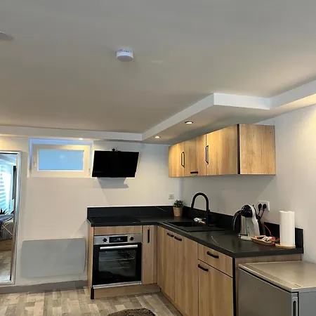 Apartament Tres Bel Type Loft De 40 M2, Classe 3 Etoiles Dans Maison Avec Parking Privatif Lingolsheim