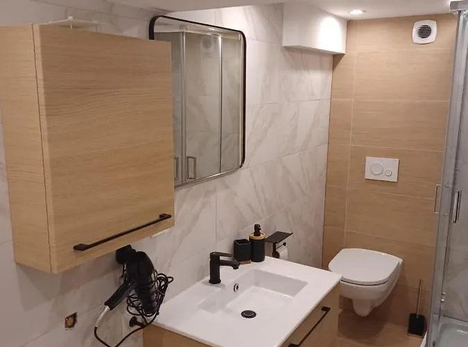 Tres Bel Type Loft De 40 M2, Classe 3 Etoiles Dans Maison Avec Parking Privatif Apartament