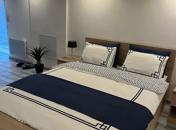Apartament Tres Bel Type Loft De 40 M2, Classe 3 Etoiles Dans Maison Avec Parking Privatif