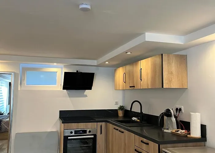 Apartament Tres Bel Type Loft De 40 M2, Classe 3 Etoiles Dans Maison Avec Parking Privatif Lingolsheim