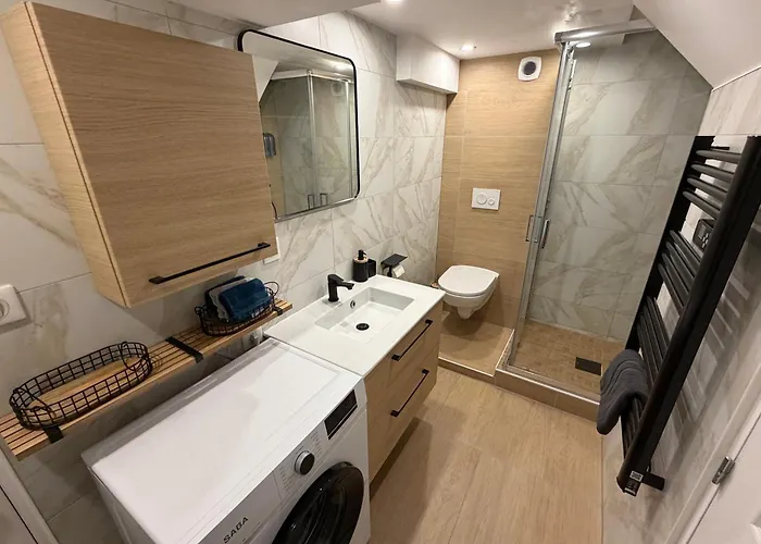 Tres Bel Type Loft De 40 M2, Classe 3 Etoiles Dans Maison Avec Parking Privatif Apartament Lingolsheim